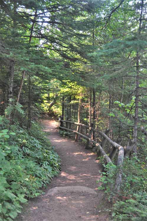 trail